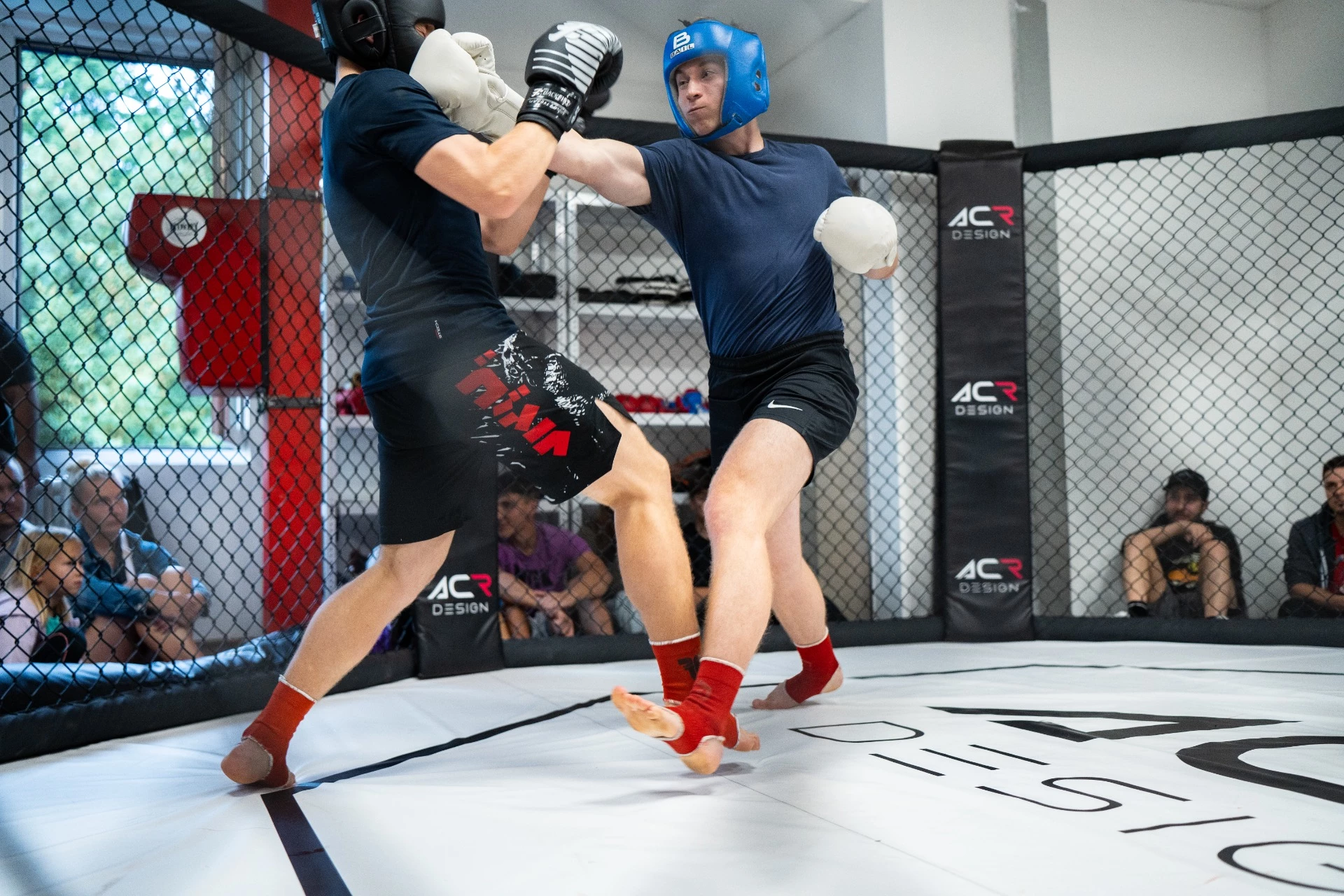 Box a MMA